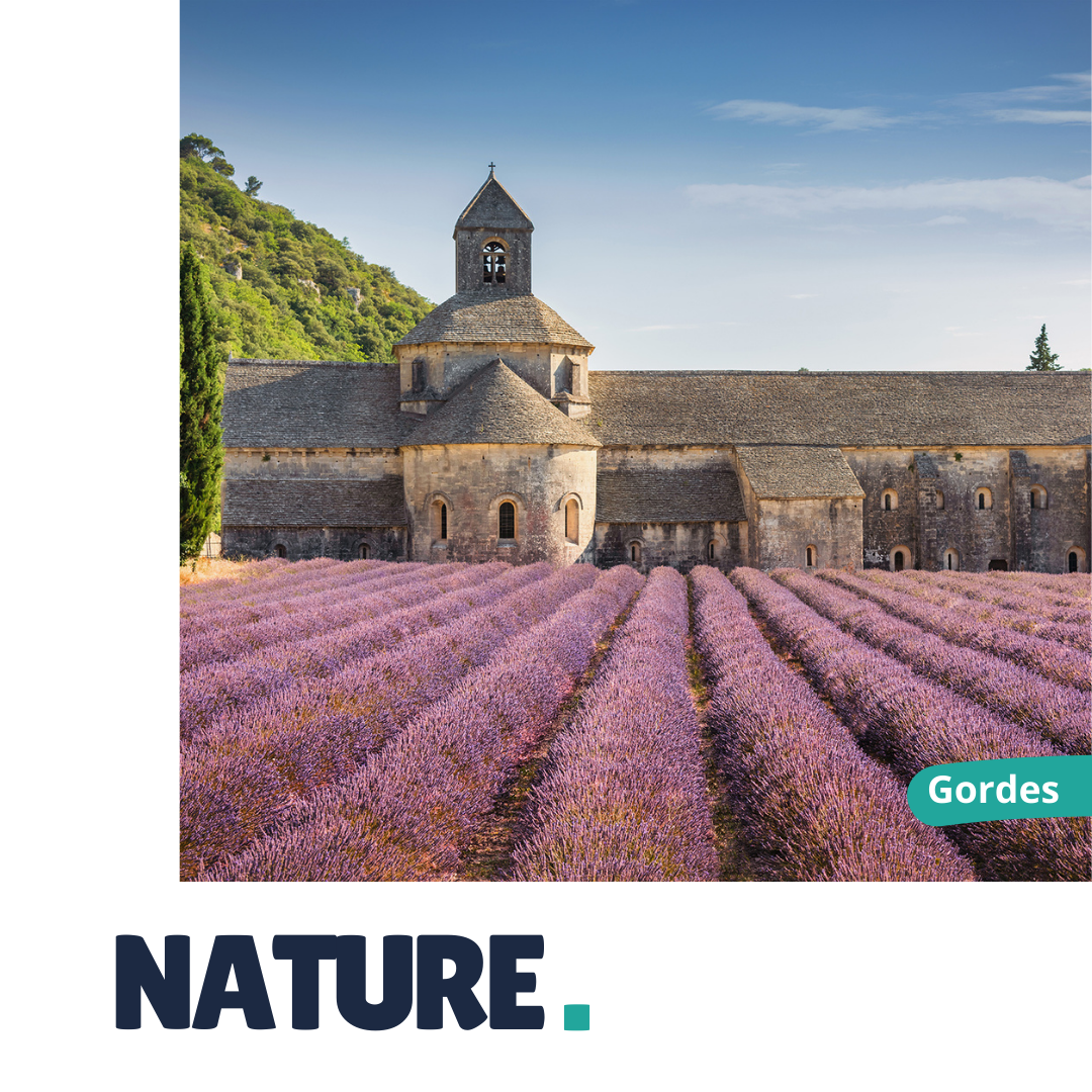 Impakture organise vos événements en France, en pleine nature.